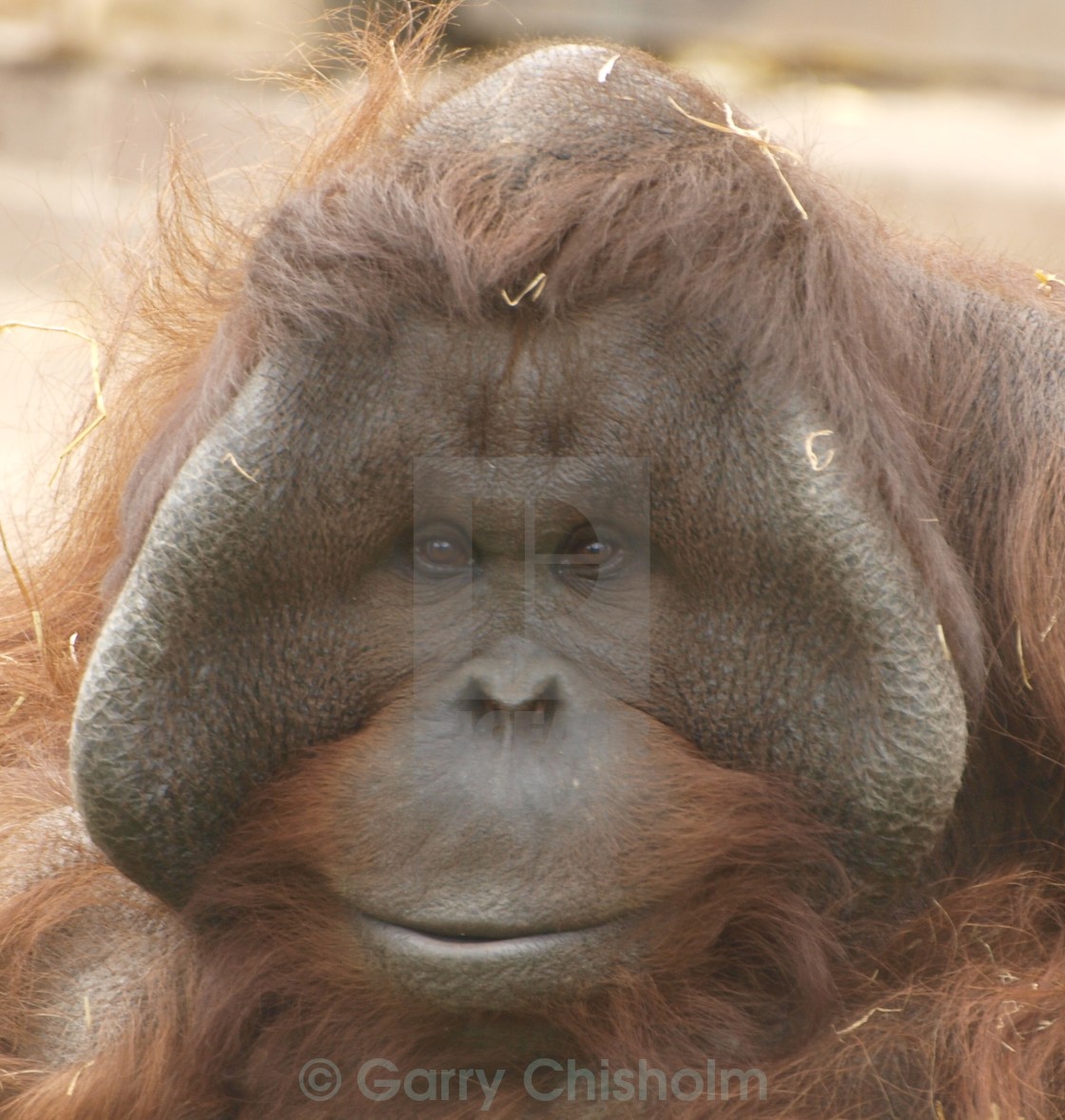 "It's the weekend!" stock image