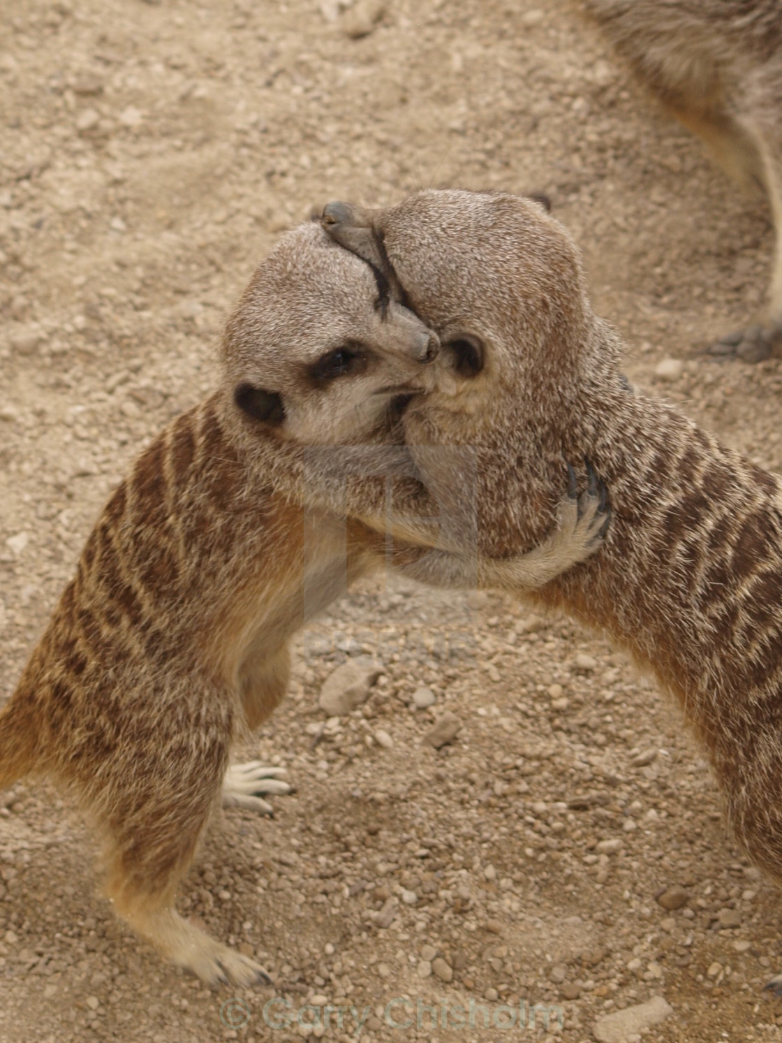 "Hug time" stock image