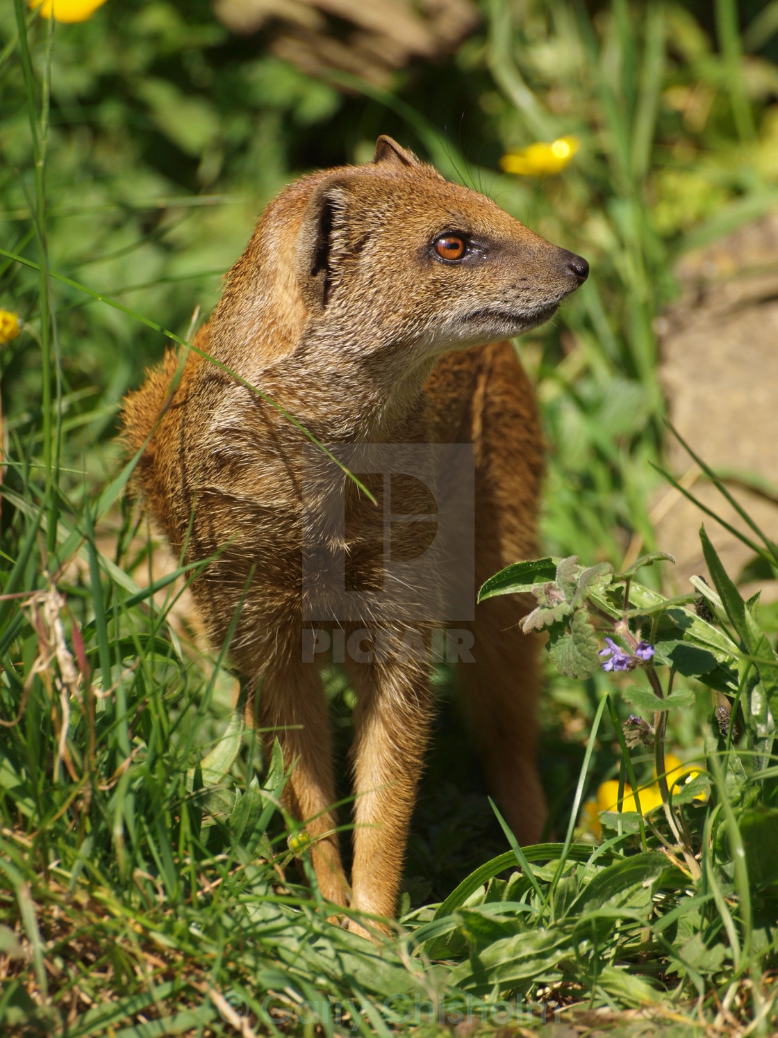 "Look this way not that way" stock image