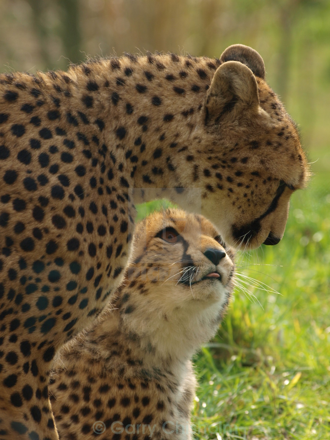 "Looking up to mum" stock image