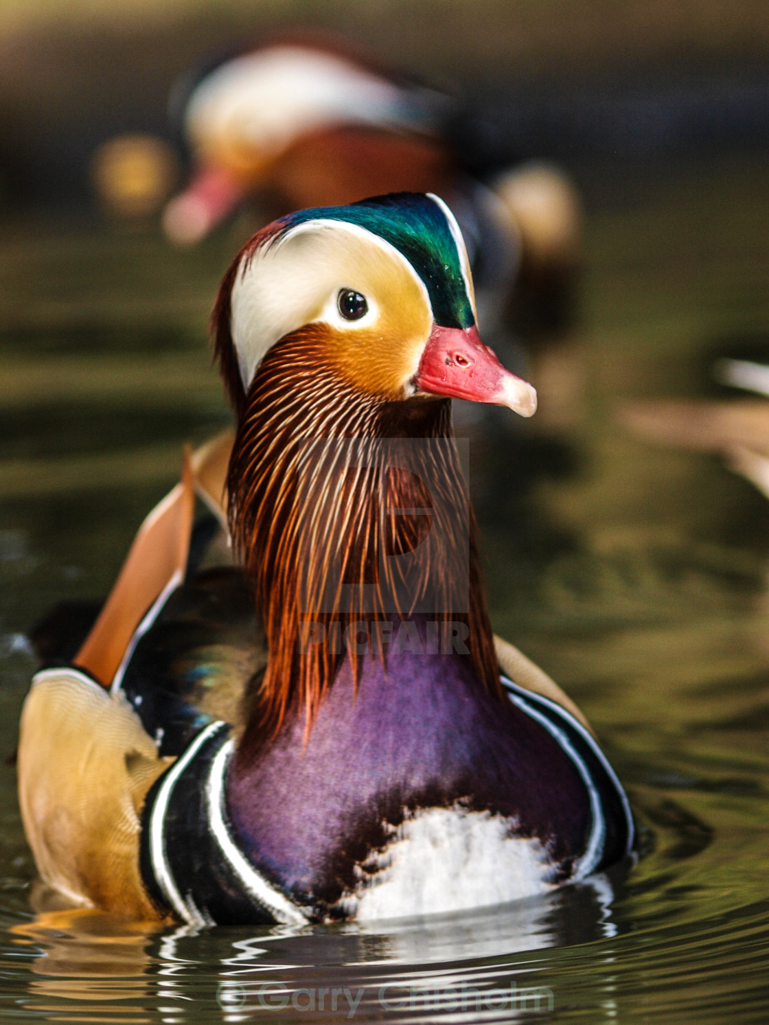 "Colourful" stock image