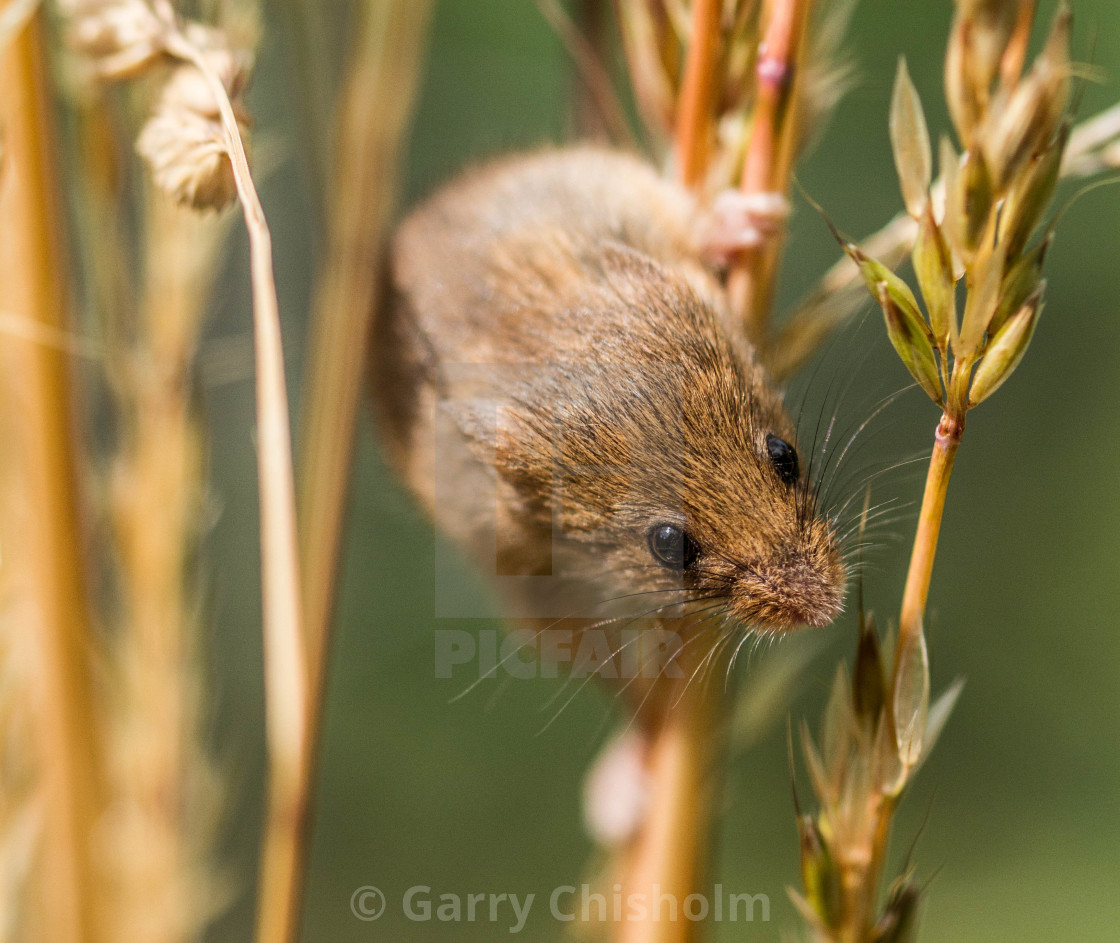 "Alright mate?" stock image