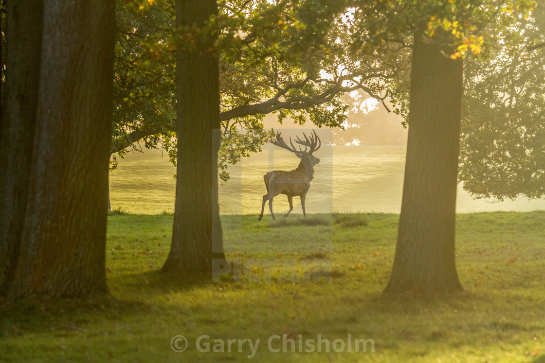 "Daybreak" stock image