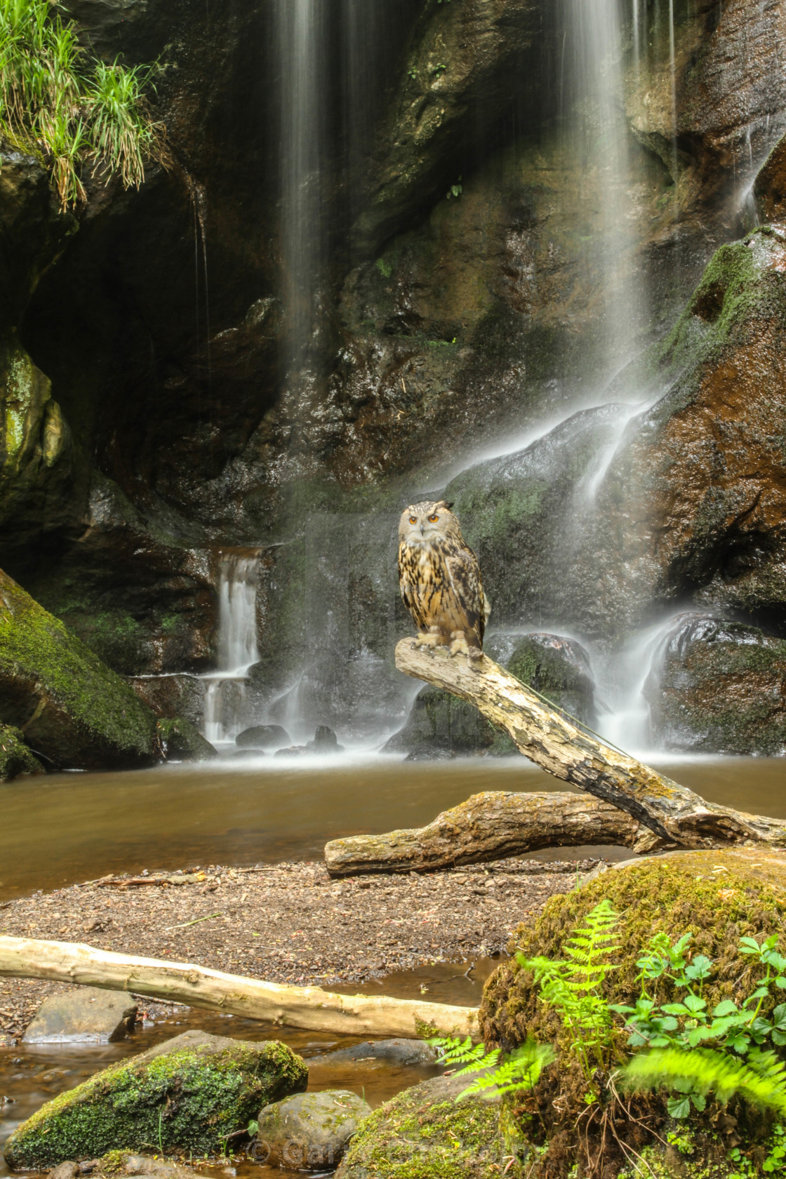 "Down by the waterfall" stock image