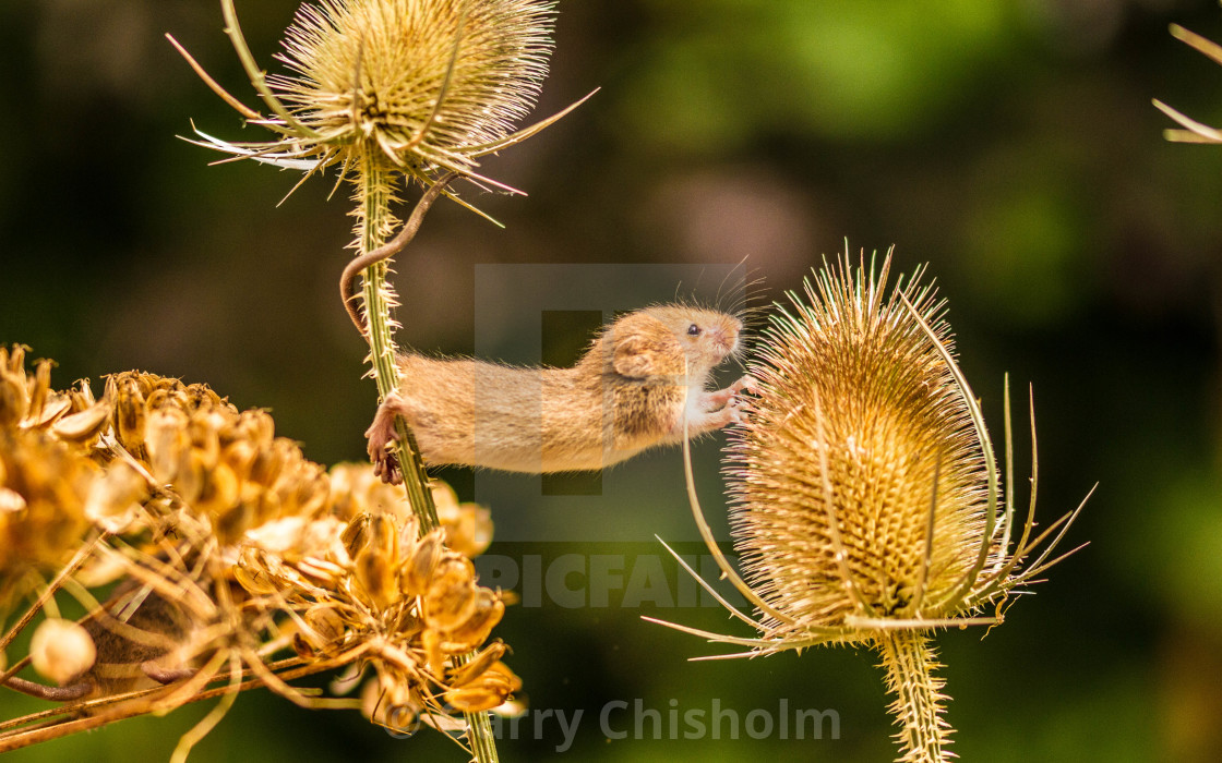 "And stretch......" stock image