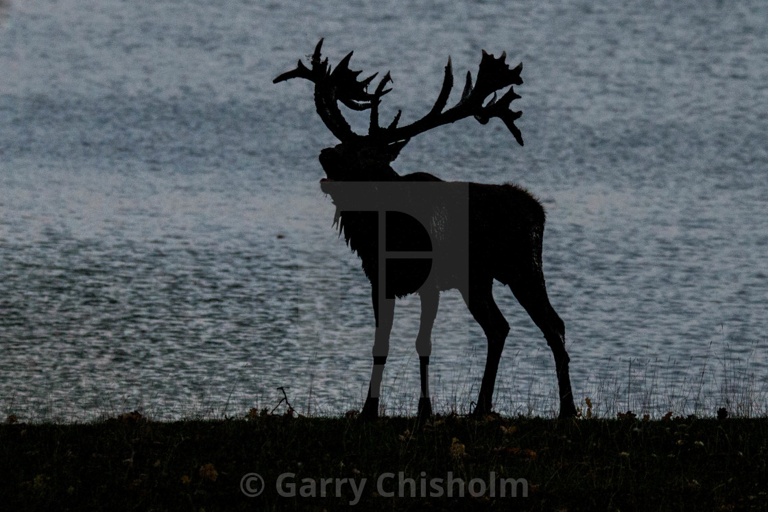 "Early morning silhouette" stock image