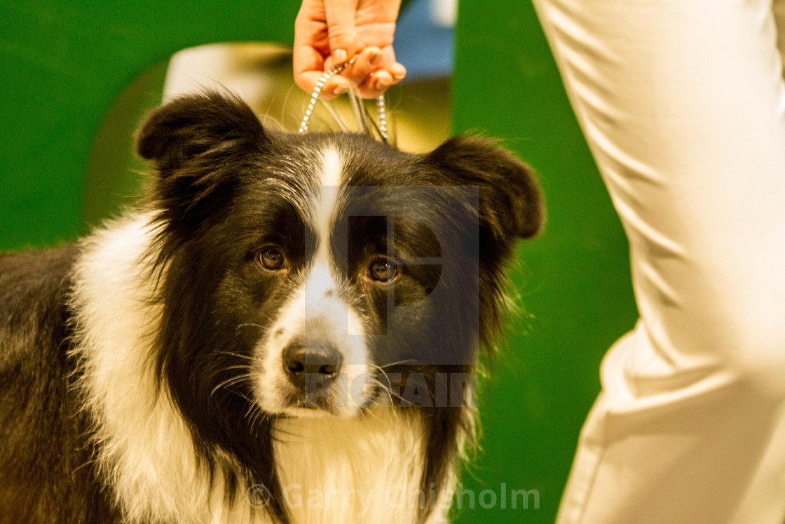 "Did you just take my picture?" stock image