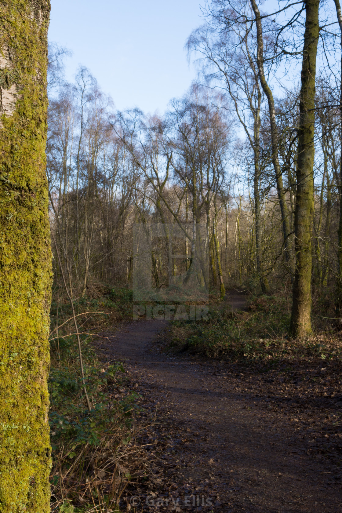 "Nature Trail" stock image