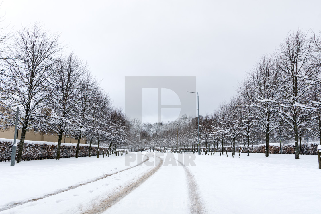 "The beast of the East strikes Scotland" stock image