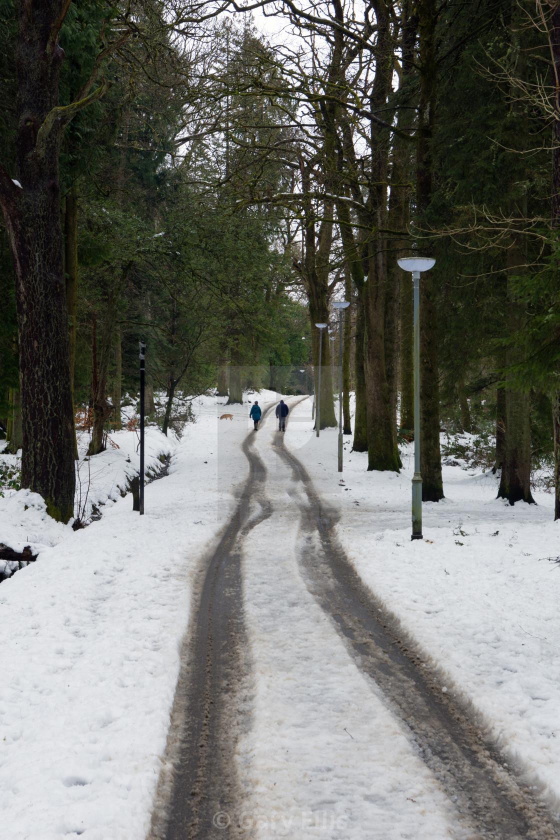 "Walk in the Park" stock image