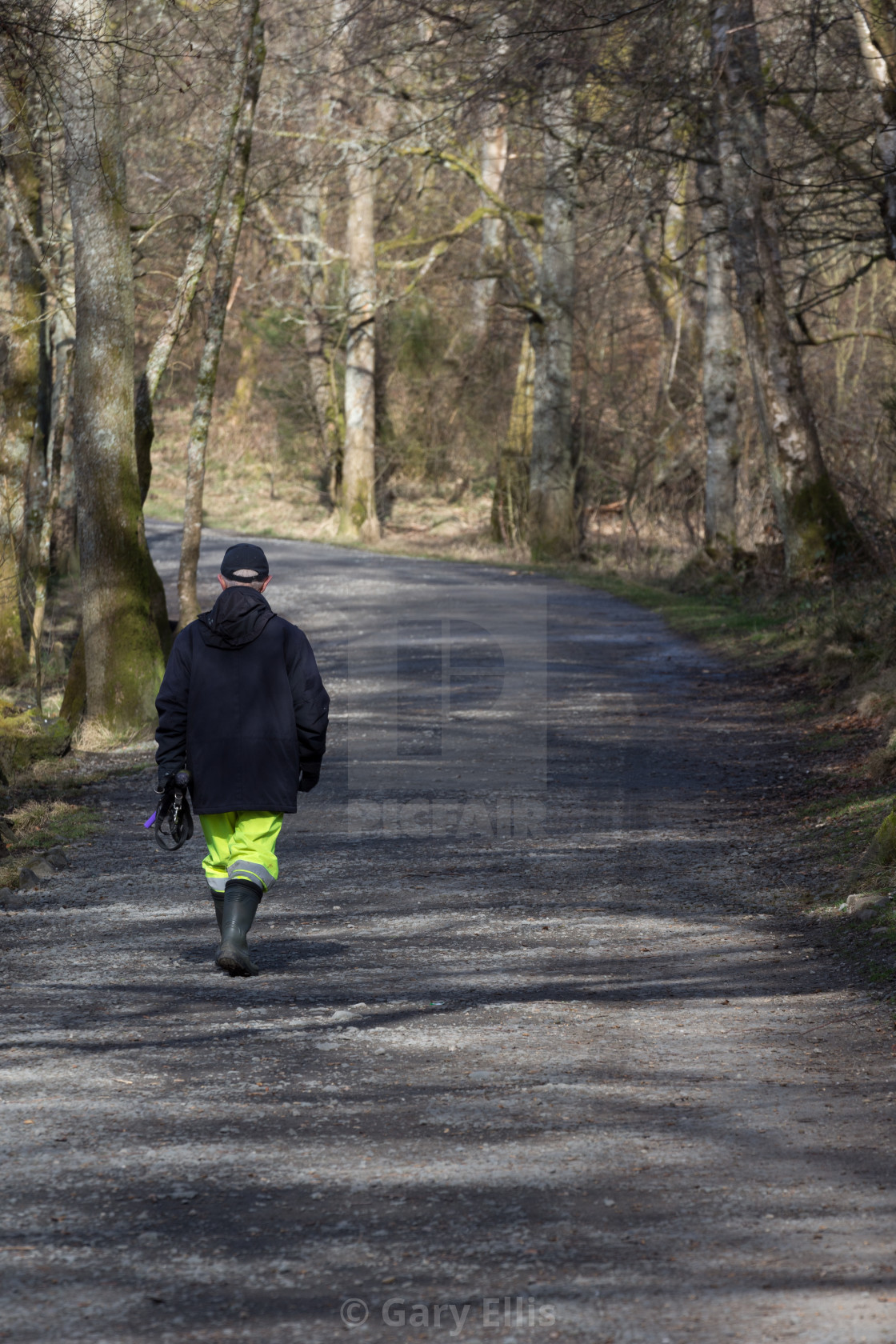 "Morning Walk" stock image