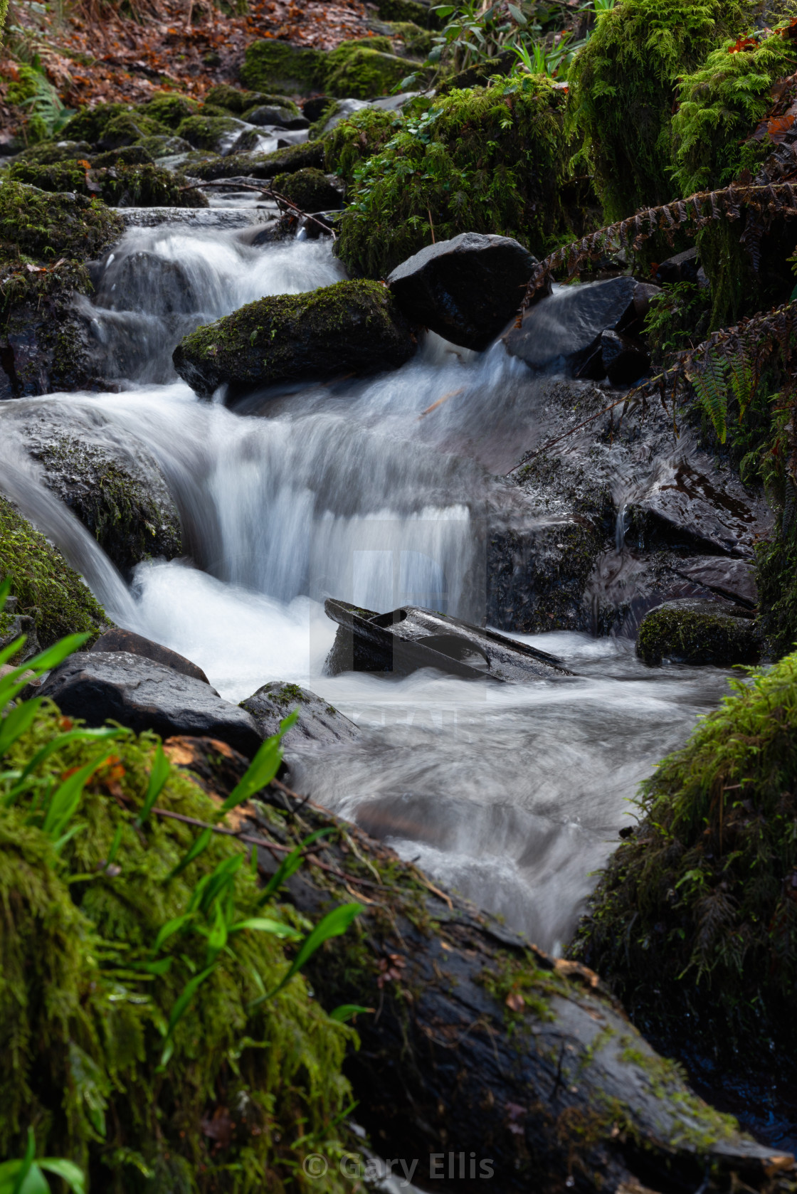 "fast water flowing down the small river after heavy rainfall" stock image