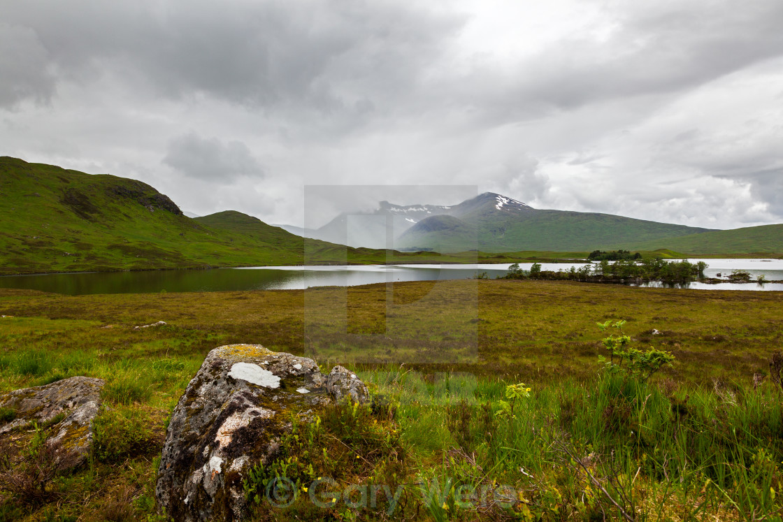 "Mist in the Valley" stock image