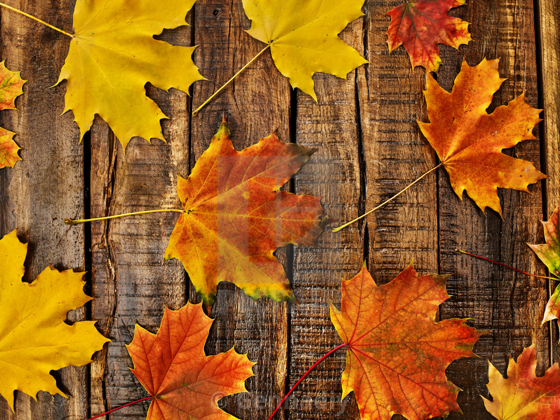 Autumn leaves background on wooden table - License, download or print for  £ | Photos | Picfair