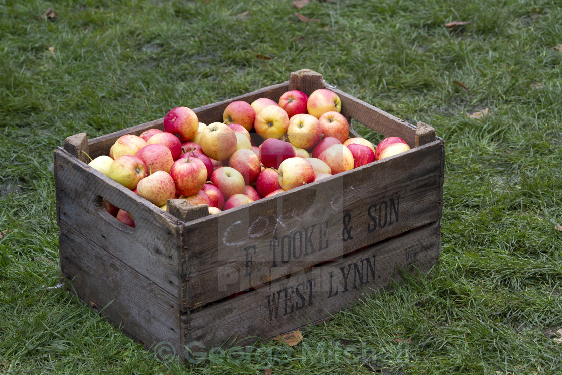 "Ely Apple Fair, Ely, UK" stock image