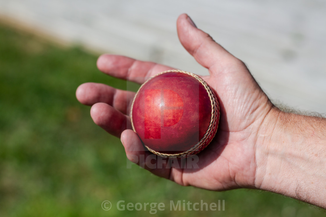 "Cricket ball at the ready" stock image