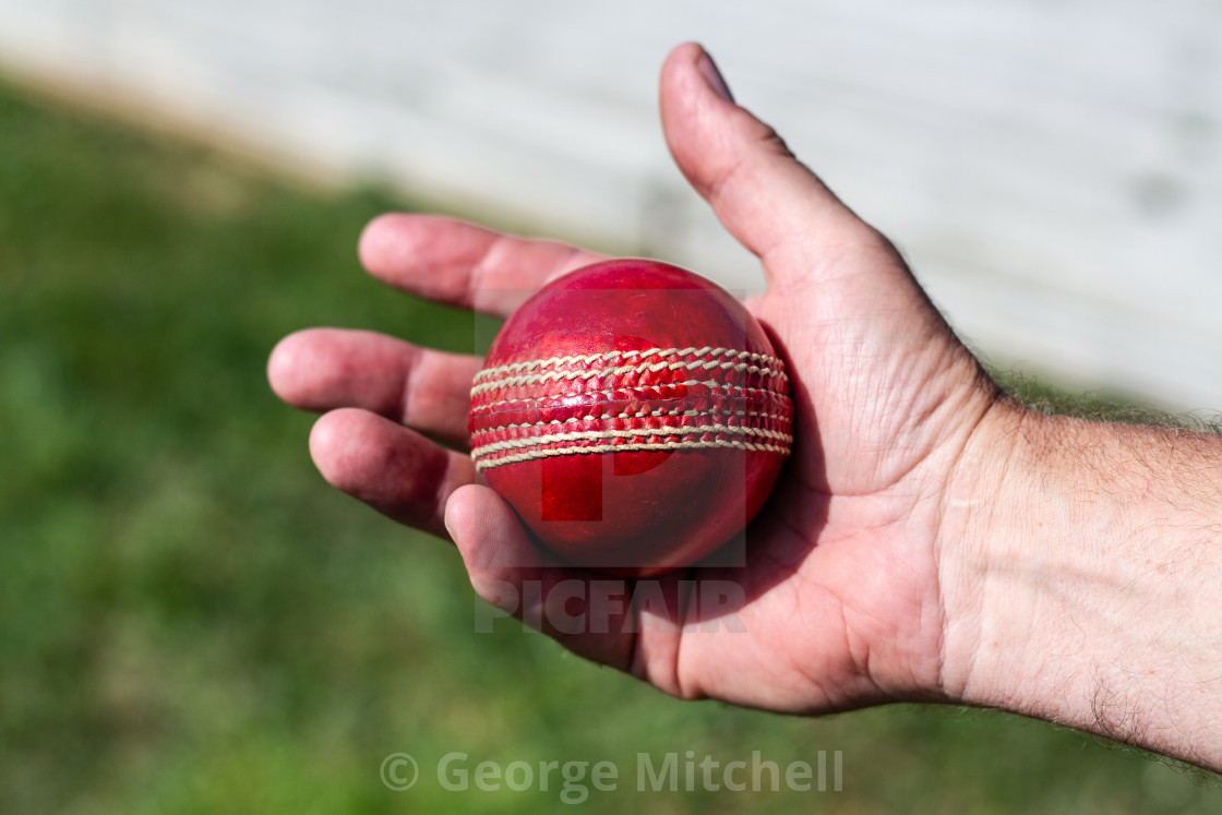 "A cricket ball just caught." stock image