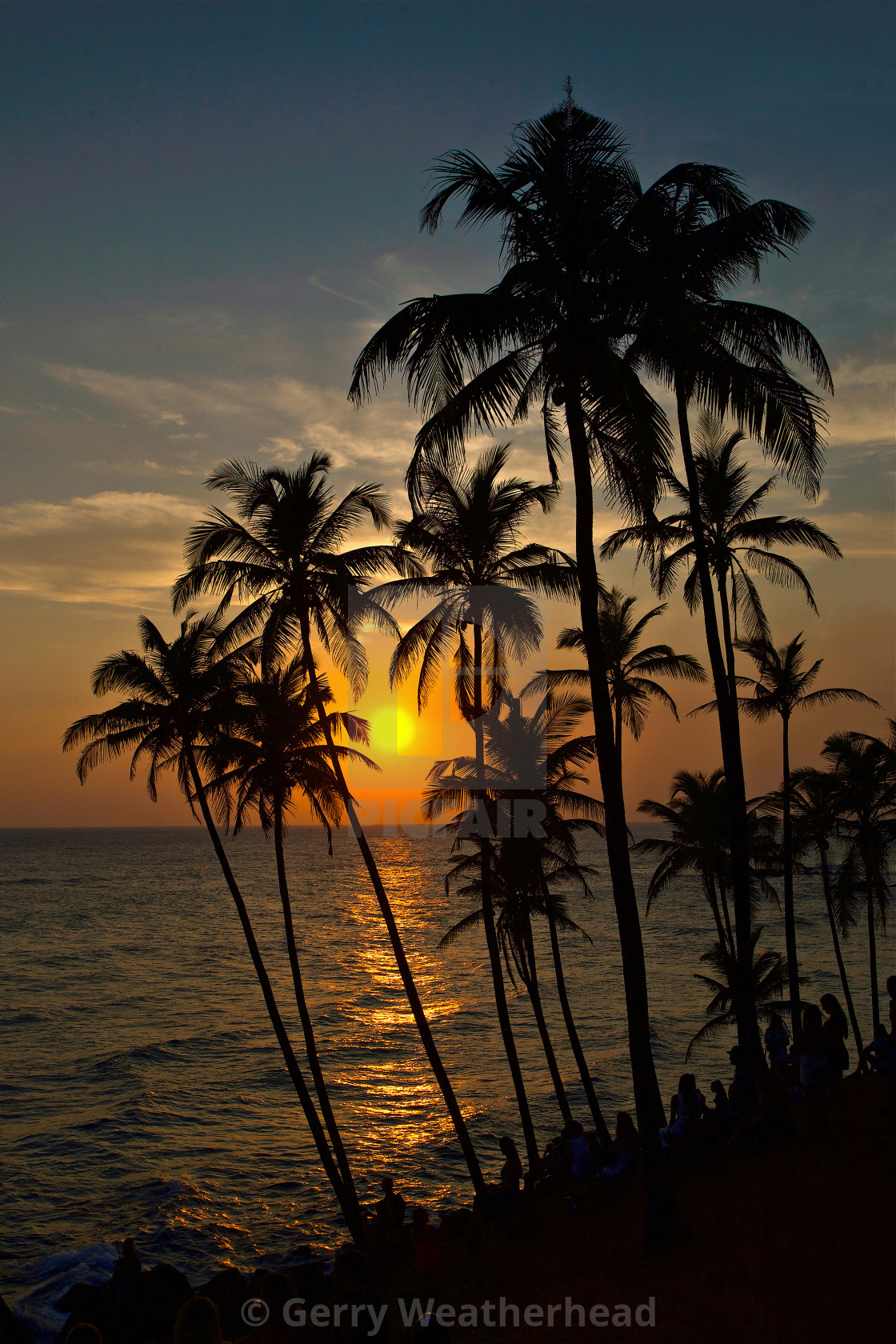 "Coconut Tree Hill Sunset (P)" by Gerry Weatherhead - $38.47 "Coconut Tree Hill Sunset (P)" stock image