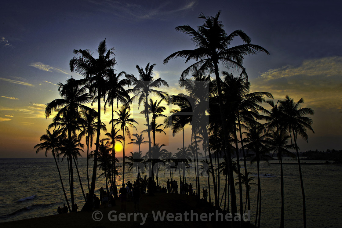 "Coconut Tree Hill, Mirissa, Sri Lanka. (L)" by Gerry Weatherhead - $38.47 "Coconut Tree Hill, Mirissa, Sri Lanka. (L)" stock image