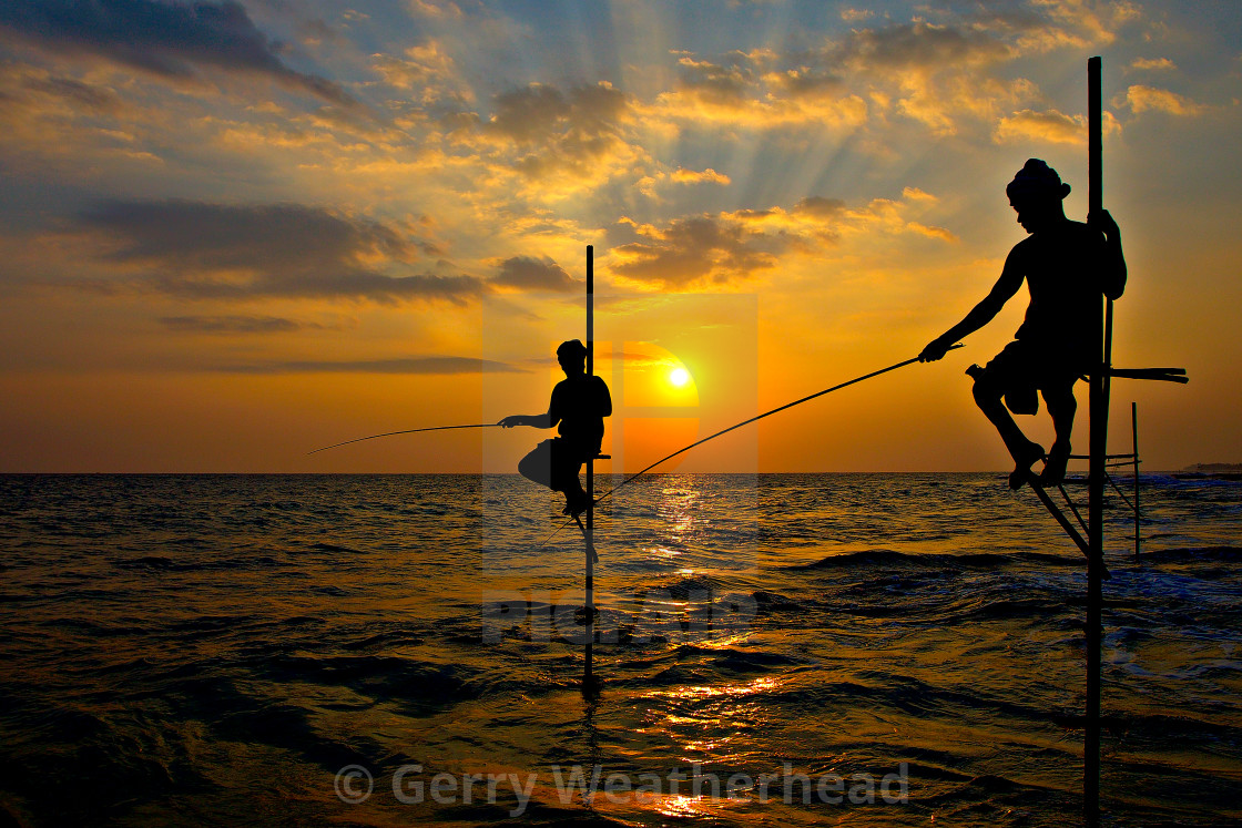 "The Stilt Fishermen of Koggala, Sri Lanka. (L)" by Gerry Weatherhead - $38.47 "The Stilt Fishermen of Koggala, Sri Lanka. (L)" stock image