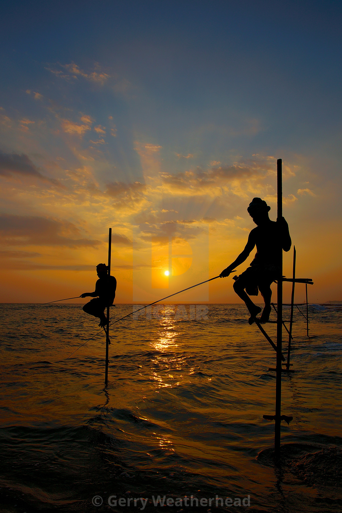 "The Stilt Fishermen of Koggala, Sri Lanka. (P)" by Gerry Weatherhead - $38.47 "The Stilt Fishermen of Koggala, Sri Lanka. (P)" stock image
