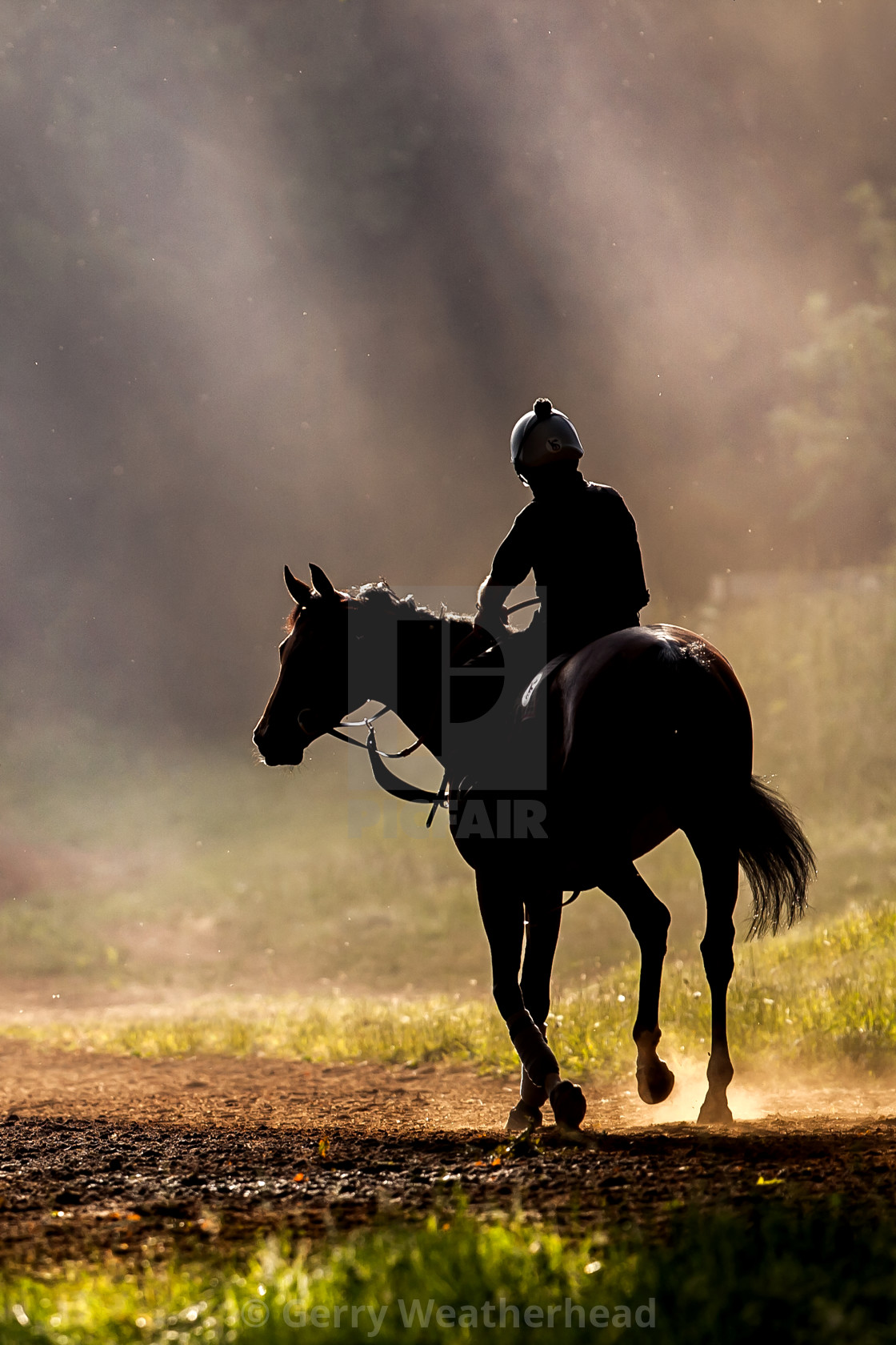"Into the light" by Gerry Weatherhead - $38.47 "Into the light" stock image