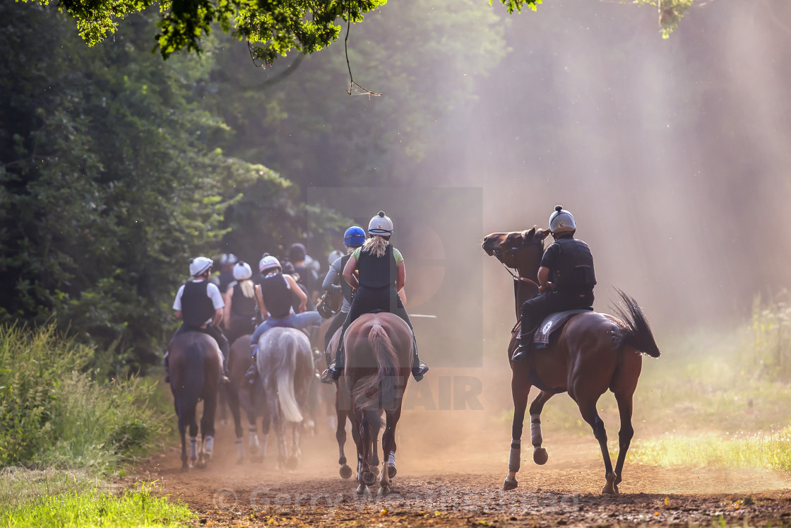 "Warren Hill Woods" by Gerry Weatherhead - $38.47 "Warren Hill Woods" stock image