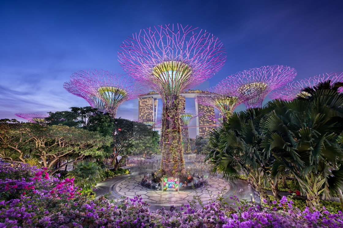 "Gardens by the bay in Singapore" stock image