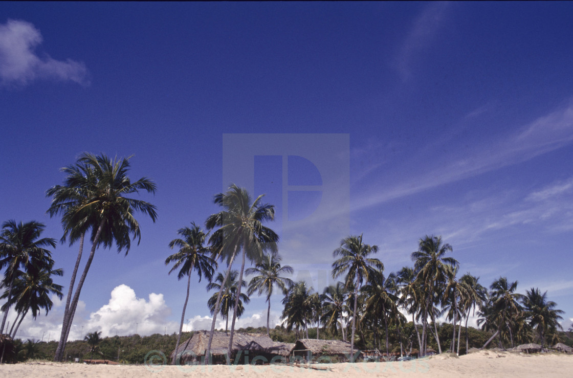 North Shore Of Brazil 007 License Download Or Print For 7 44 Photos Picfair