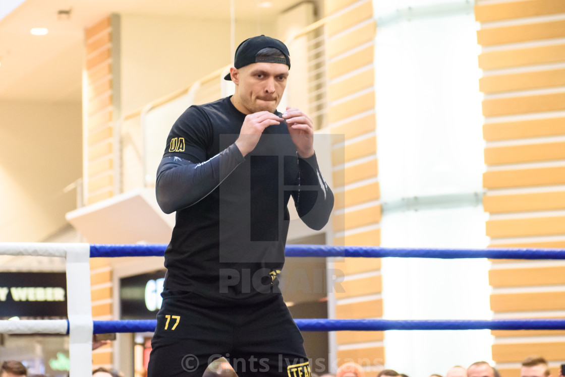 23 01 2018 Riga Latvia Ukrainian Boxer Oleksandr Usyk At Public Boxing Training No Need Photo Pass Accreditation Before The World Boxing Super Series Semifinal Between Cruiserweight World Titleholder Mairis Briedis And Oleksandr Usyk License Light heavyweight boxer who became the wbc and lineal champion in december 2018. picfair
