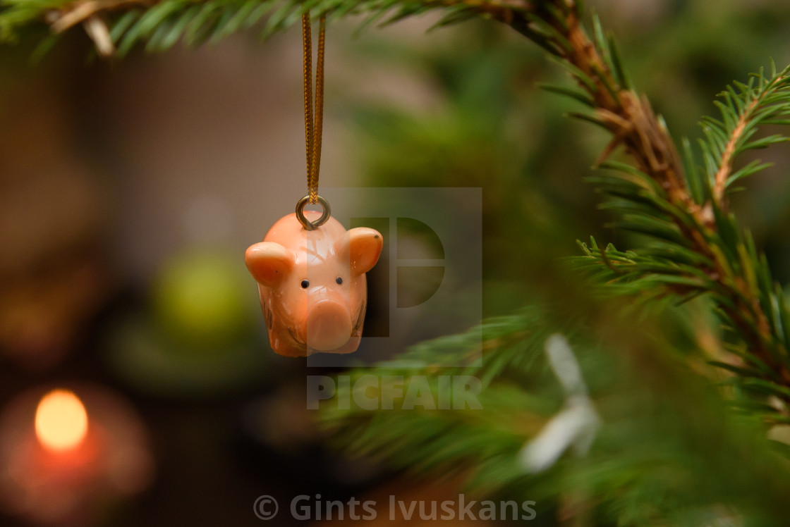 Ceramic Pig Christmas Decoration Hanged On Christmas Tree