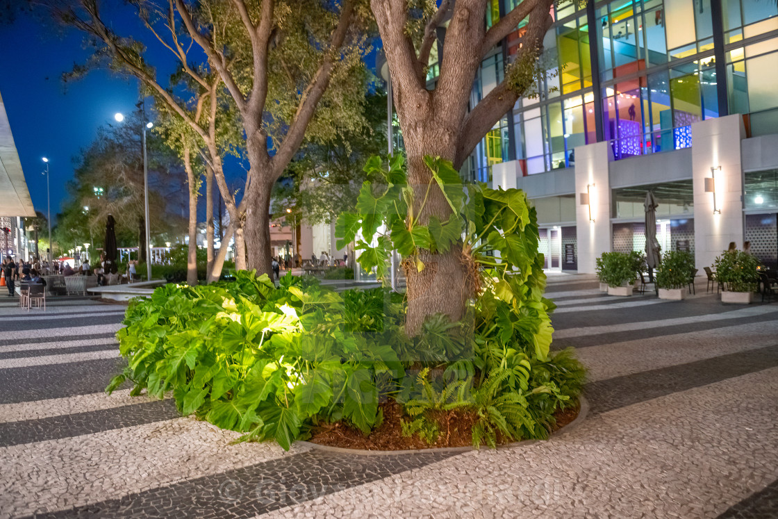 Lincoln Road Mall, Miami Beach, FL