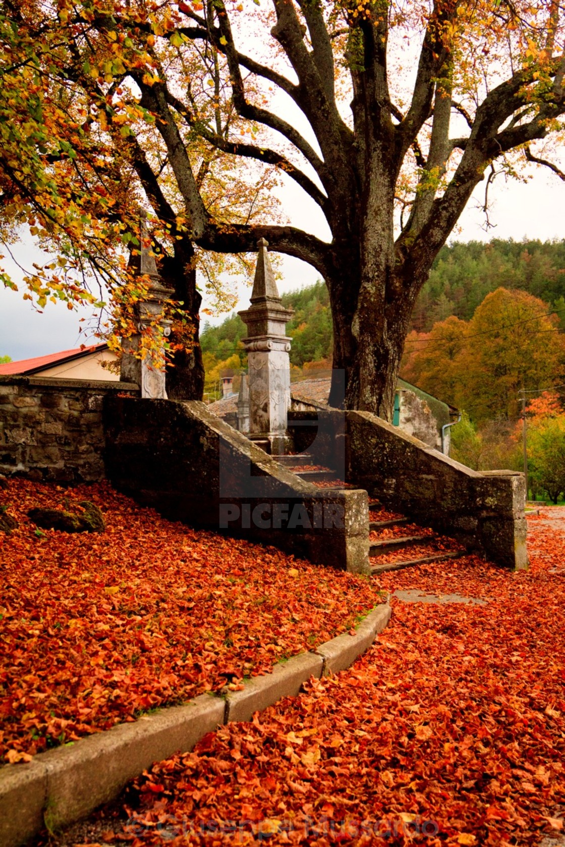 "Red church" stock image