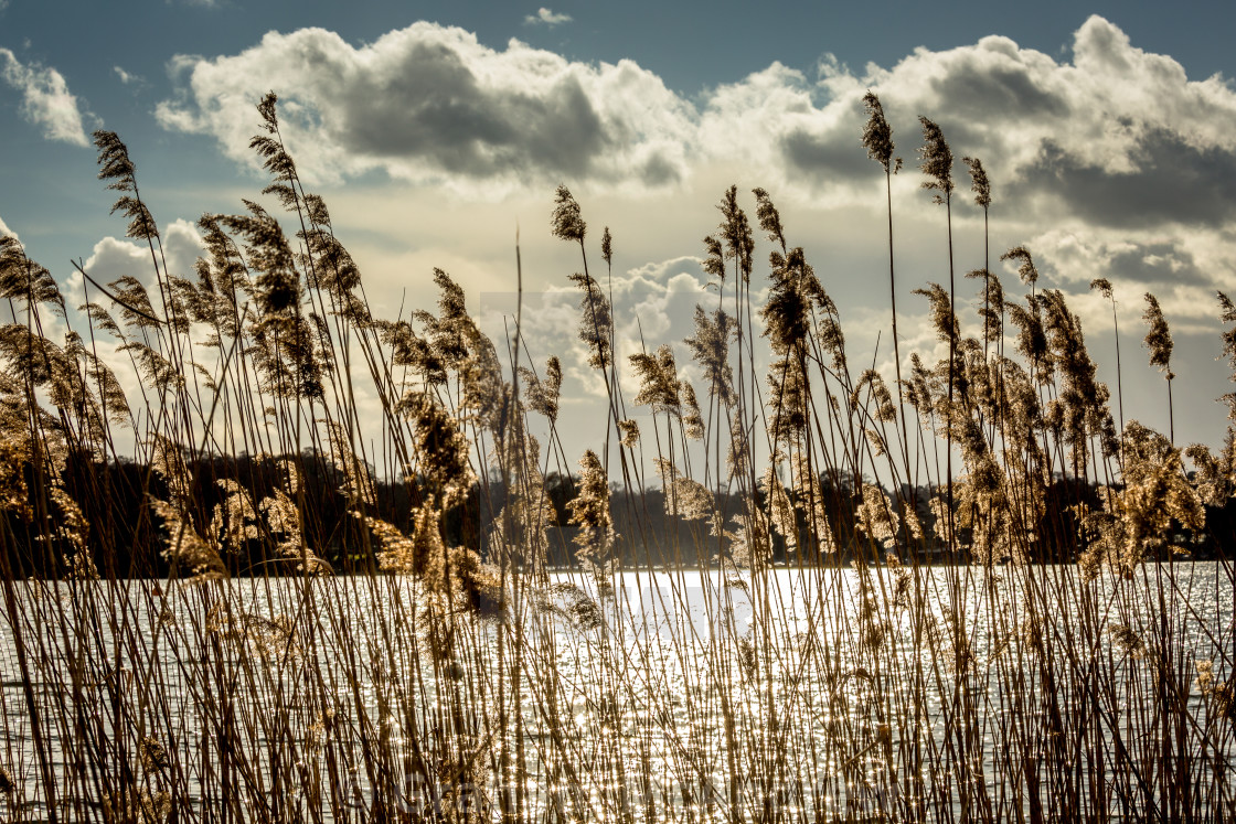 "tranquil waters" stock image