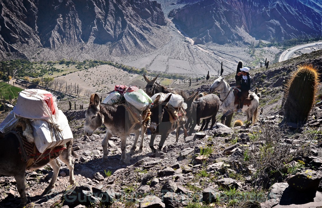 "Cumbre cerro Gólgota, Salta Argentina" stock image