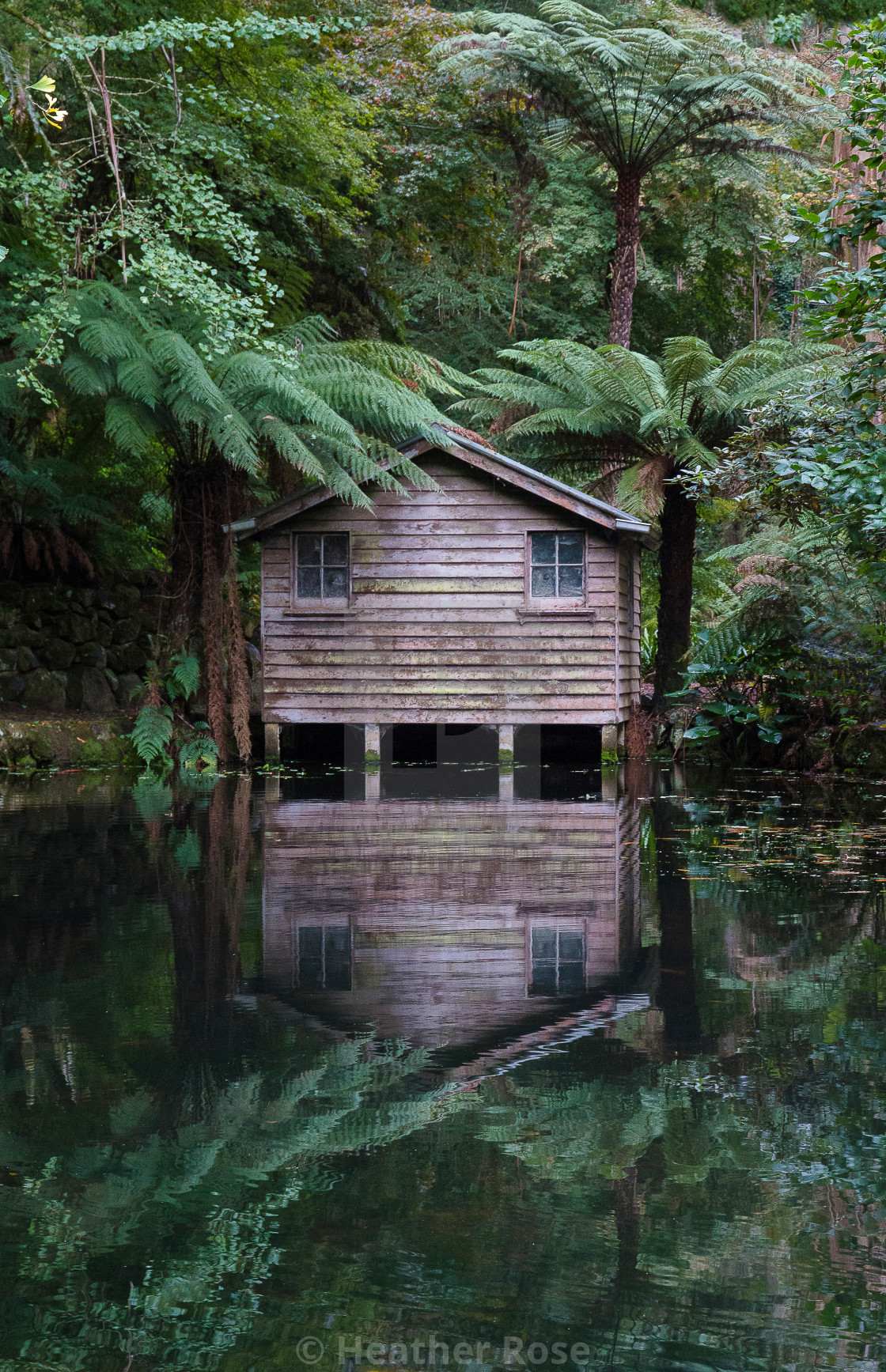 old boathouse alfred nicholas