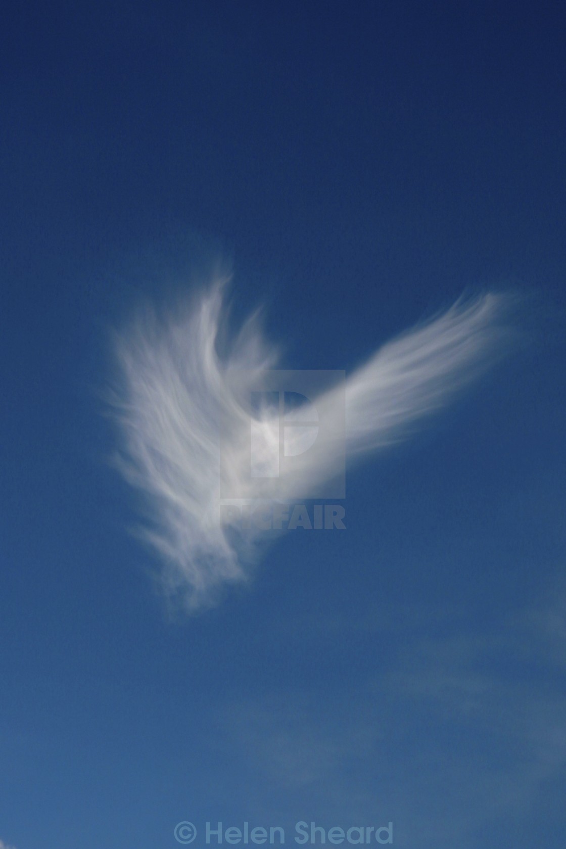 "Angel Cloud" stock image