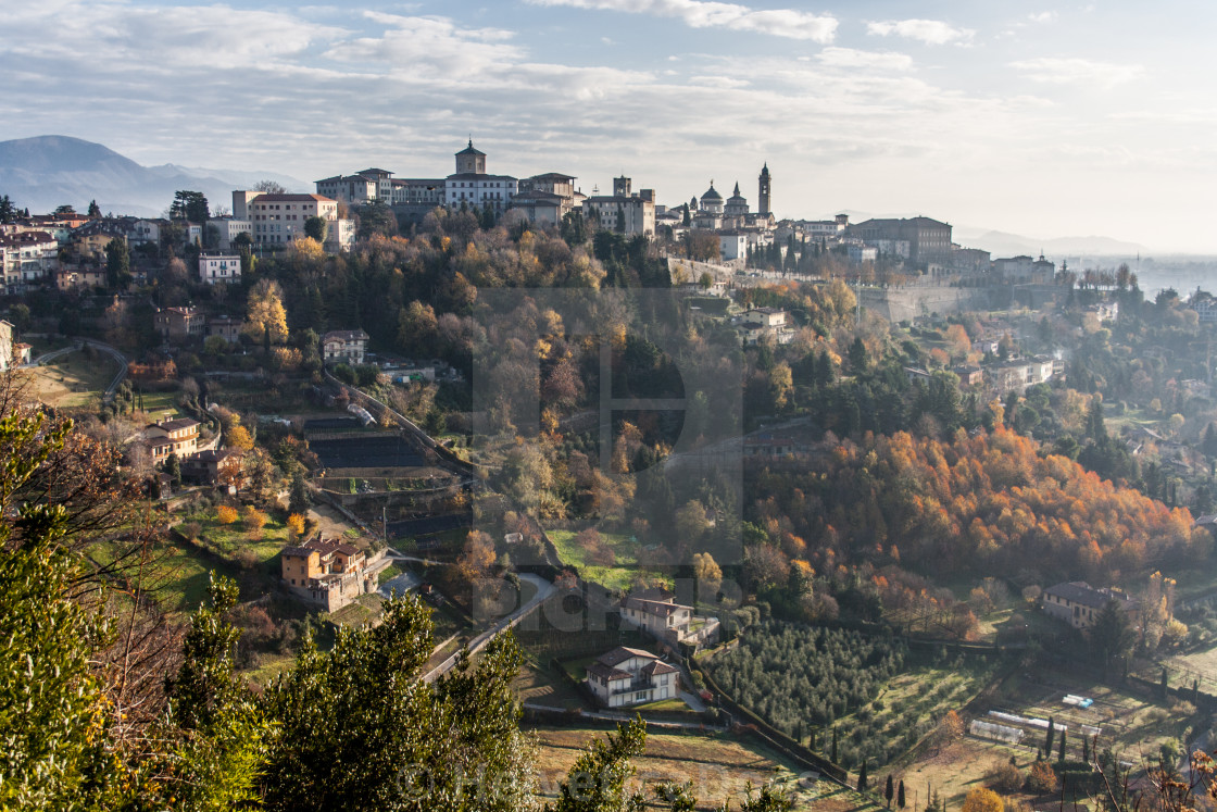 Single bergamo