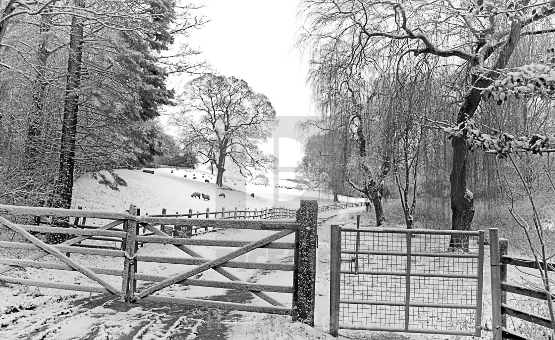 "'No Through Road'. The gate to the lane, after the snow" stock image