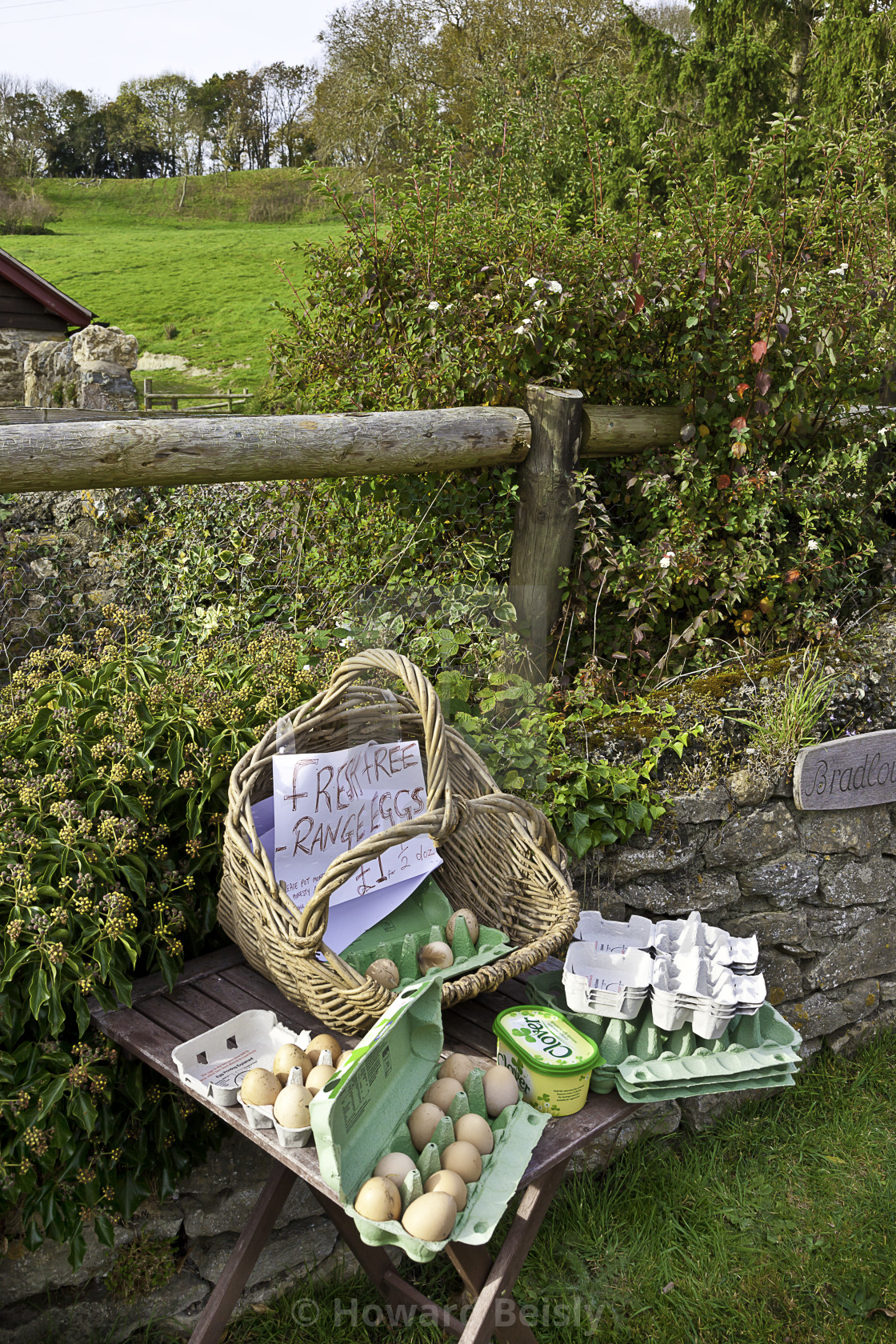 "Free range eggs for sale" stock image