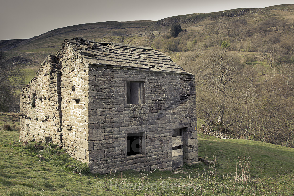 "Swaledale barn near Muker" stock image