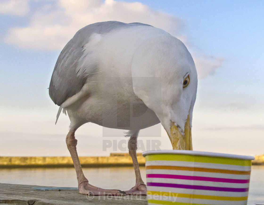 "Ice cream for all!" stock image