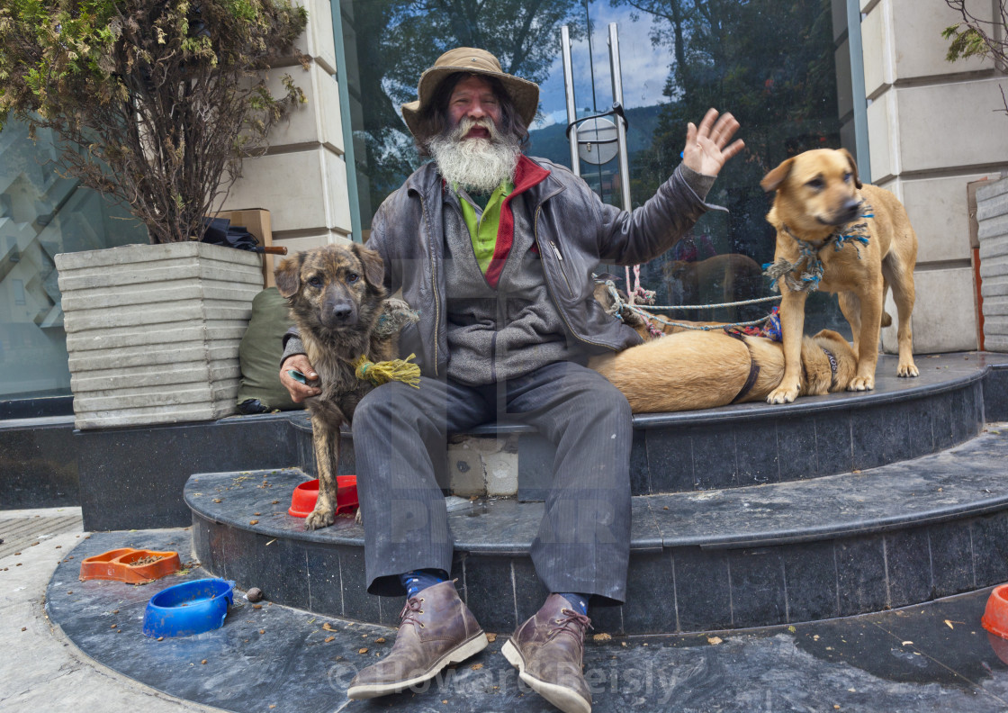 "Homeless dog man" stock image