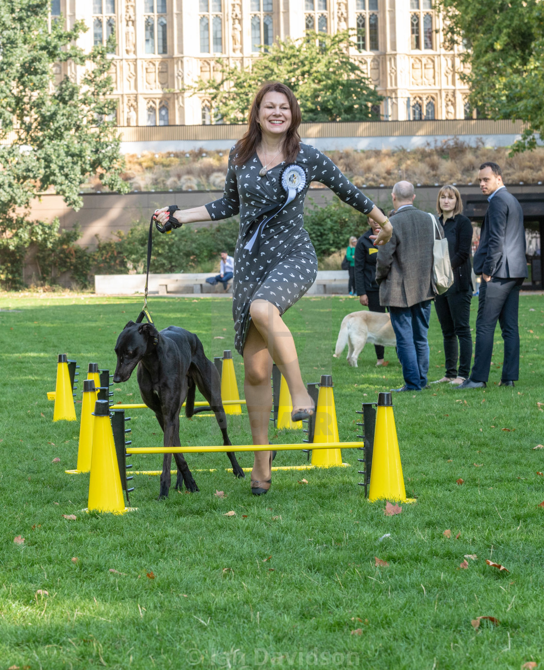 "Westminster Dog of the year event in London" stock image