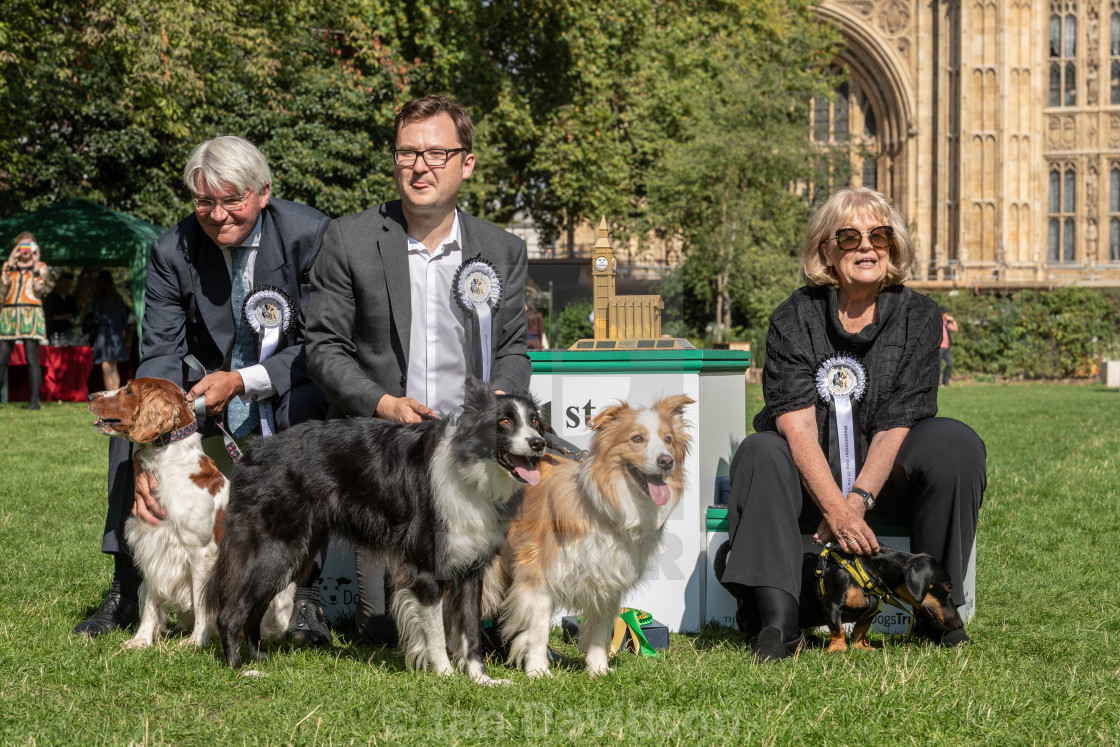 "Westminster Dog of the year event in London" stock image