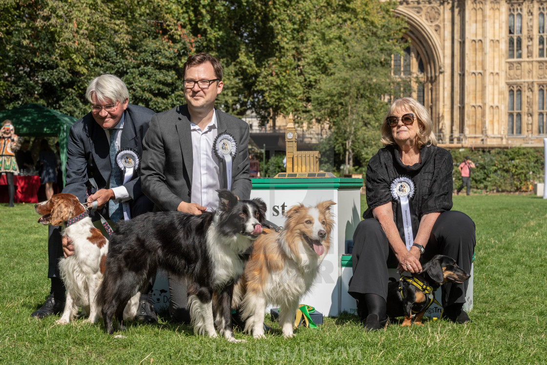 "Westminster Dog of the year event in London" stock image