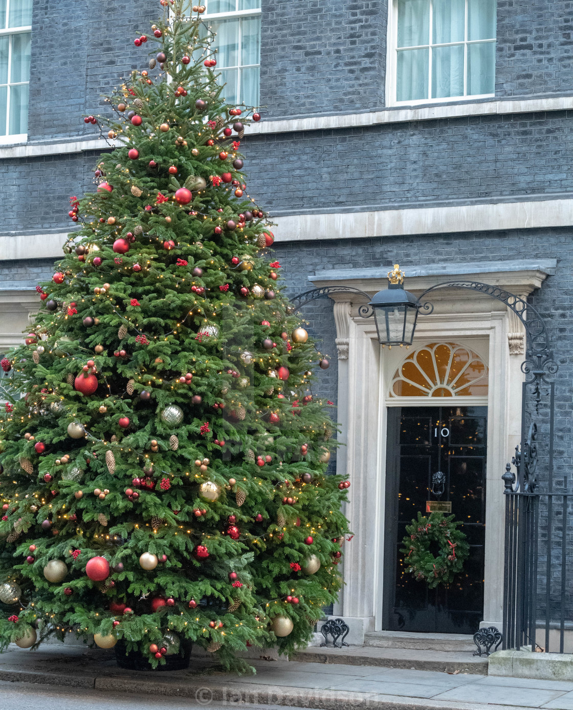 "Christmas tree Downing Street" stock image