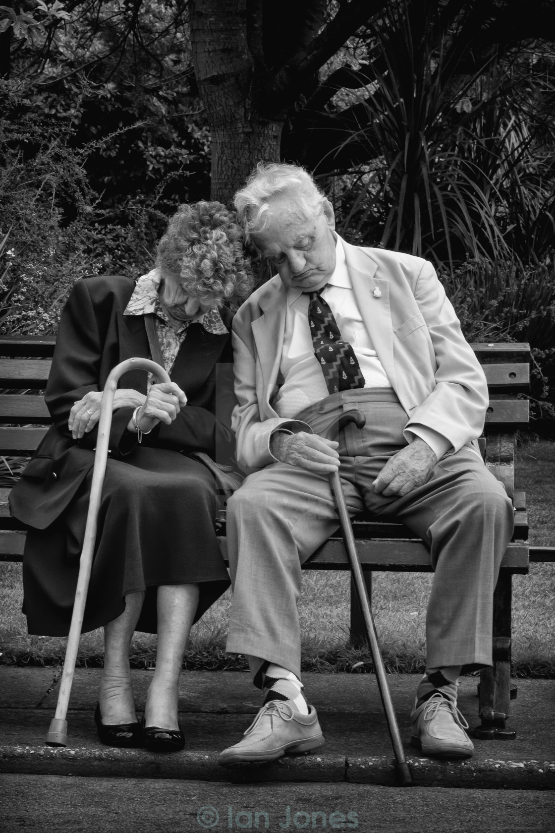 "Asleep on a bench" stock image