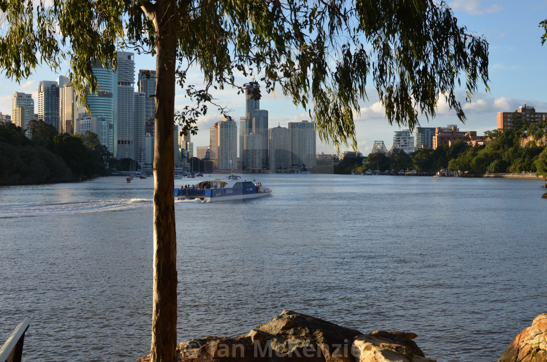 City Cat On Brisbane River License Download Or Print For 12 40