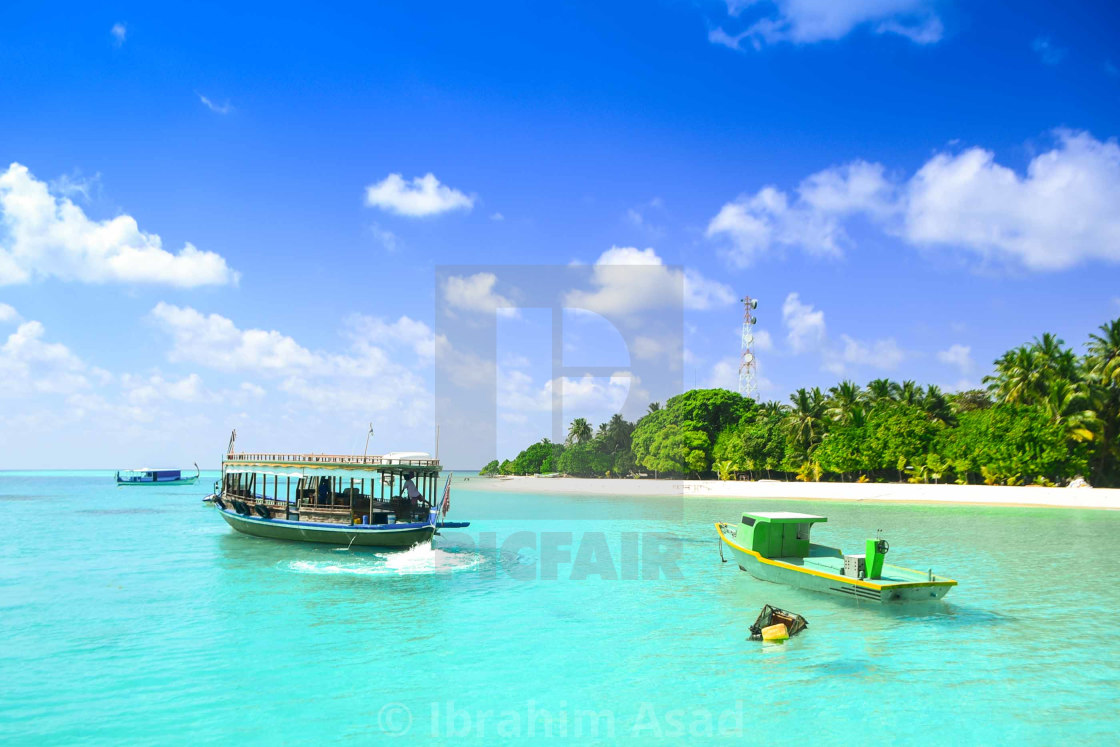 Transport In Maldives Speed Boats And Dhoni S License Download Or Print For 105 40 Photos Picfair
